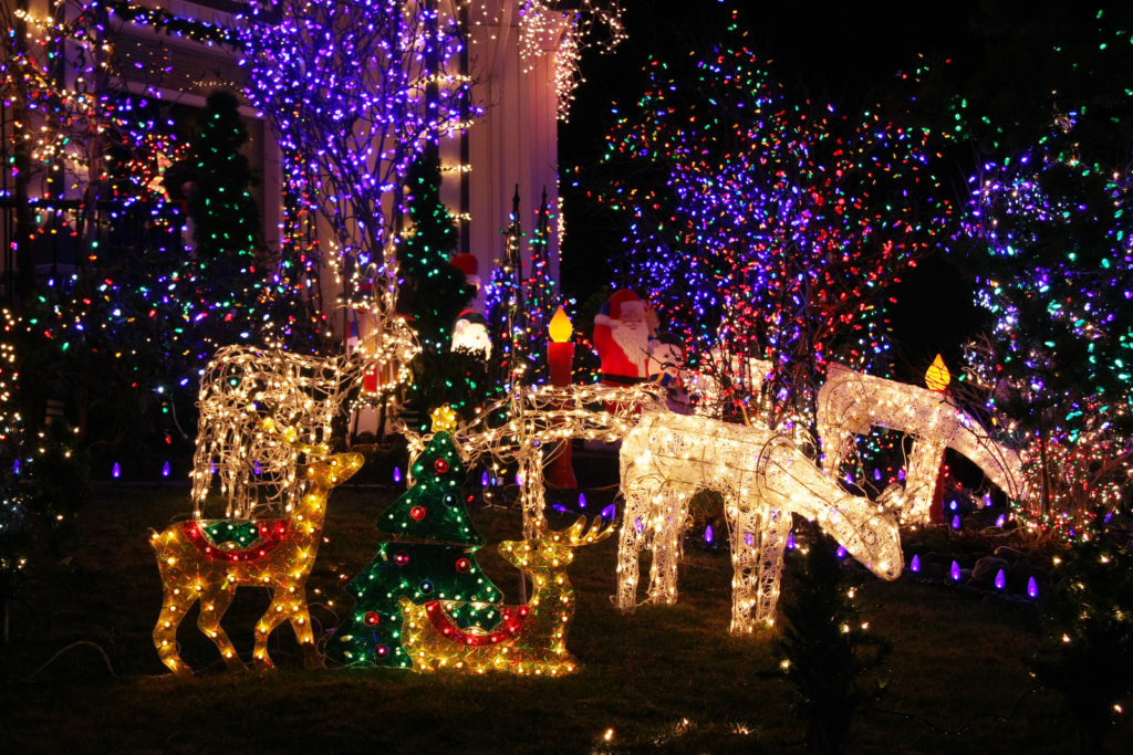festive-lit-reindeer